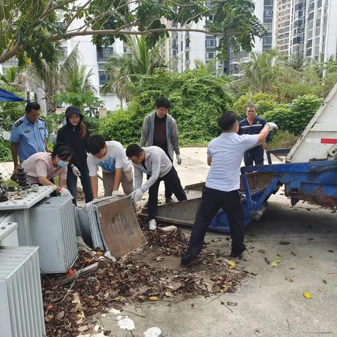 金鸡岭路社区每日工作简报