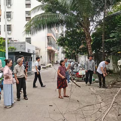 金鸡岭路社区每日工作简报