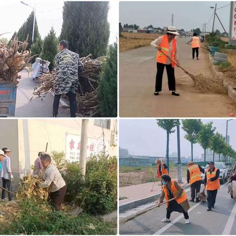 百泉镇：清秸秆美环境，除隐患保安全