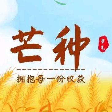 仲夏芒种至，忙中乐融融       ———西河小学五七班节气劳动实践活动