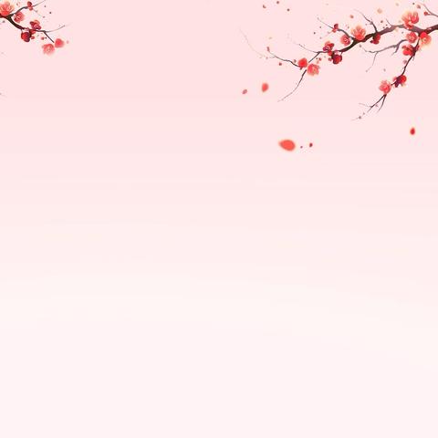 筑牢反诈防线，喜迎平安新春