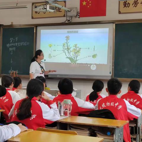 教以共进，研以致远---光坡初级中学生物公开课（2023.10.17）