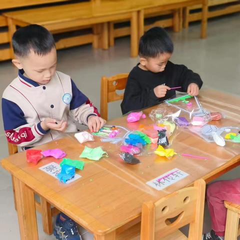 大班美术活动《瓶子里的春天》——《幼儿园大班多元化的绘画教学实践研究》小课题授课、评课活动