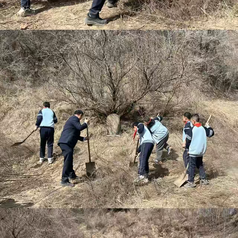 清明追思承遗志，红色基因永相传——南关小学松树林校区清明祭扫三五九旅英烈园活动纪实