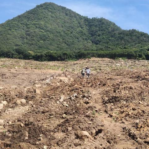 红帆领航，多元化解土地纠纷