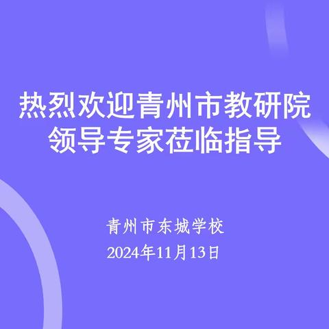 教学视导明方向 精准把脉促发展 ——东城学校迎接市教研院初中教学视导纪实