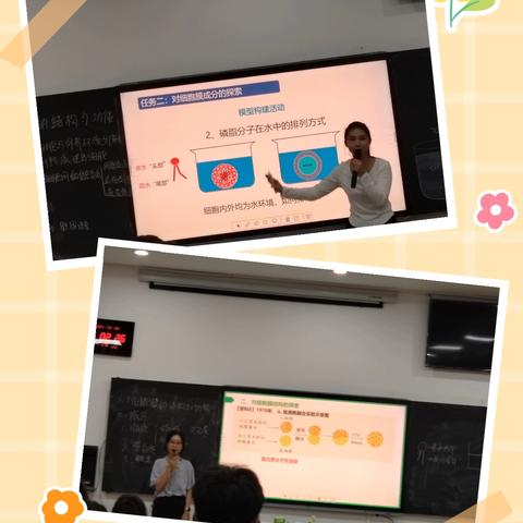 新登台，展锋芒，求进步—记海口市琼山中学2024-2025学年高中生物组新教师汇报课