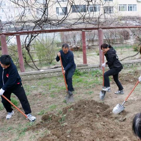 践行劳动精神 彰显党员担当 ——珲春市第三中学校开展主题党日活动