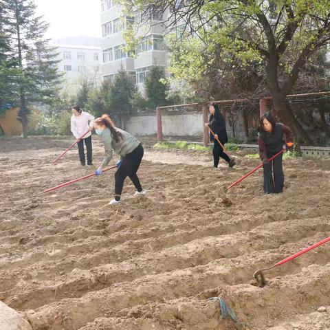 践行劳动精神 彰显党员担当 ——珲春市第三中学校开展主题党日活动