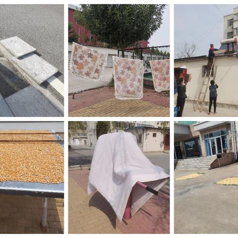 蓝格格巧解千千结之网格员王秀梅