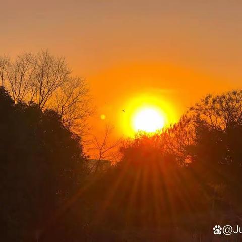 大海之子的简篇