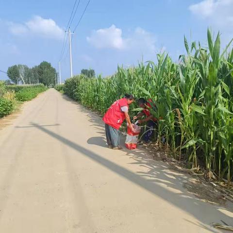 孝直镇邱林村创意环保行动点亮美丽乡村