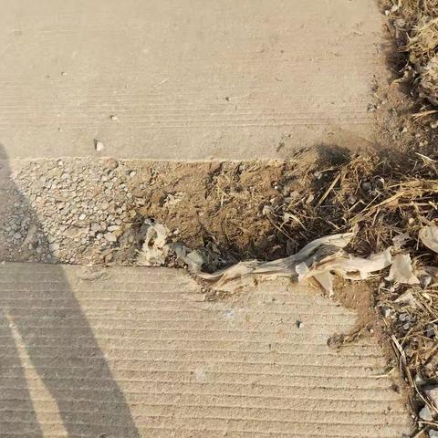 孝直镇邱林村志愿行动从我做起