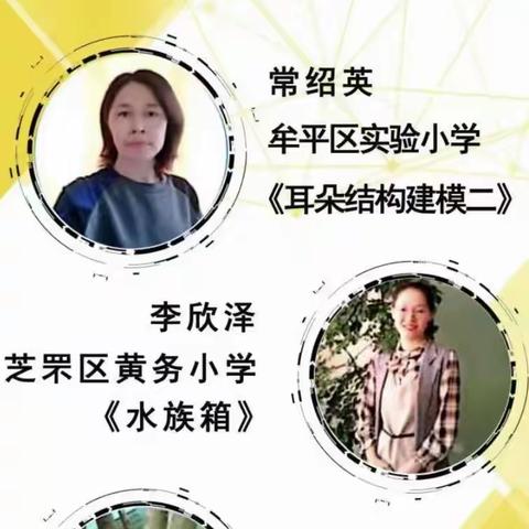 冬日暖阳融，科研意更浓——滨州经济技术开发区全体小学科学教师观摩齐鲁科学大讲堂第125期学习纪实