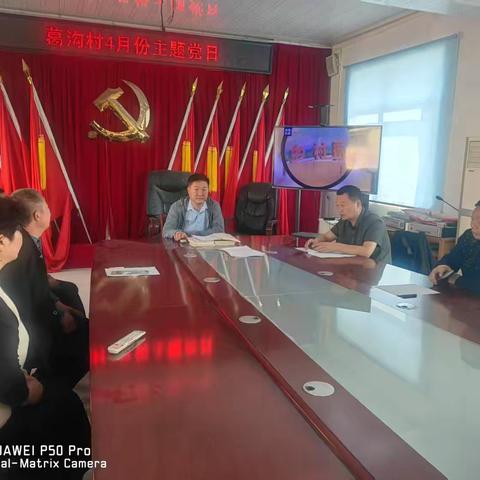 葛沟村2025年4月份主题党日活动