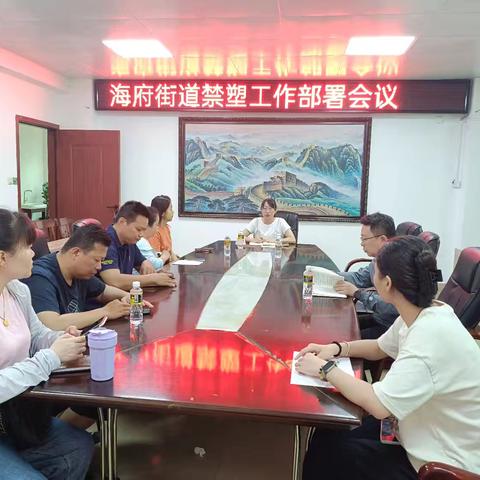 海府街道禁塑工作部署会议