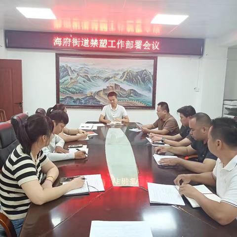 海府街道禁塑工作部署会议