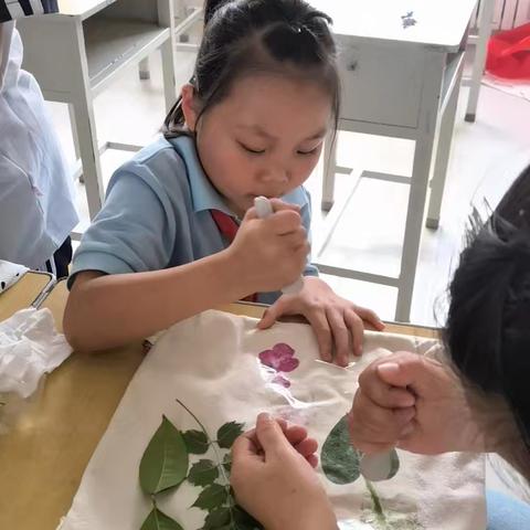 敲开自然之门，拓染植物之美———生物社团记录篇