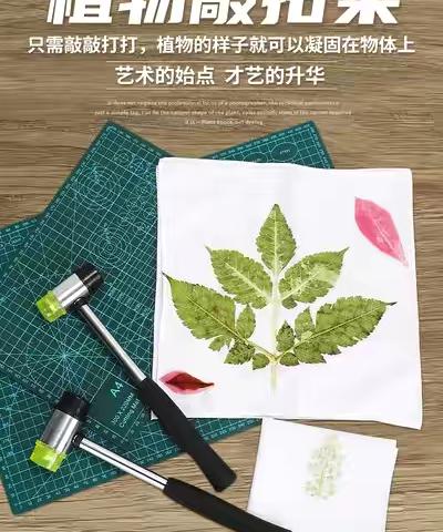 香蜜山活动策划|非遗团建·植物拓印