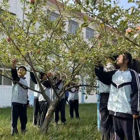 爱在深秋 情暖重阳——记遇家中学师生爱心之旅