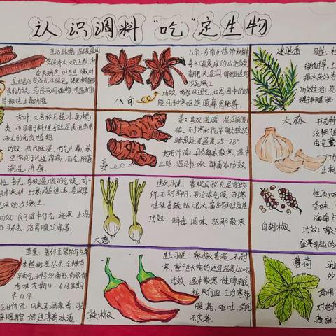 迎中秋庆国庆——许昌市第六中学双节素质教育实践活动纪实