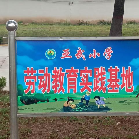 【豫灵教育】以"劳″为美，"动″见成长——豫灵镇亚武小学劳动教育实践掠影