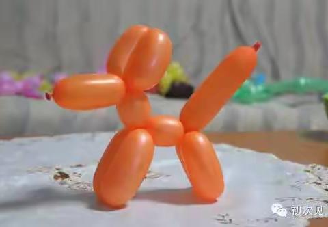 杰夫·昆斯的气球狗 钱学森科技小学二年级美术社团