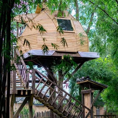 神奇的树屋 钱学森科技小学一年级美术社团2班