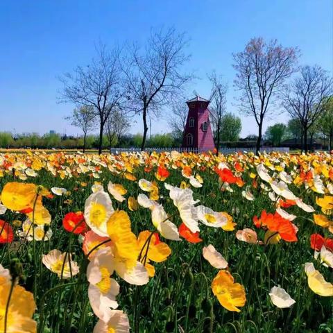 花点心思 钱学森科技小学二年级美术社团