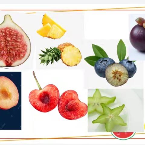 乘着水果船出海 ——钱学森科技小学二年级美术社团