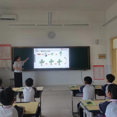 心随手动  制作番茄酱——临清市永青实验学校小学部科学纪实