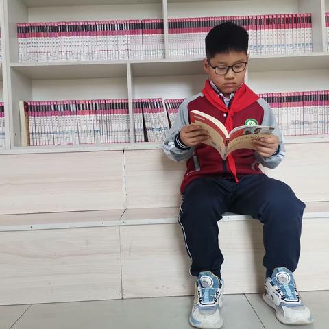 “诗书漫卷春作序，悠悠文墨读好书” ——招贤镇中心小学2024年读书月系列活动之三年级优秀征文