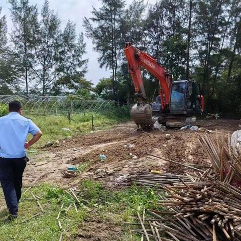 公坡镇组织拆除一处占用基本农田违法建筑并完成复耕复种
