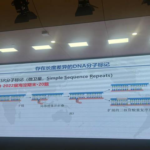 海淀教研-遗传学分析技术 4.15（4）