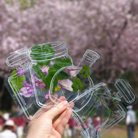 我们春游啦！！！（二）