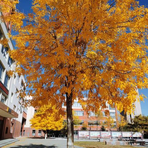 “国培计划（2023）”内蒙古自治区（东部片区）旗（县）级小学骨干班主任能力提升培训班返岗实践