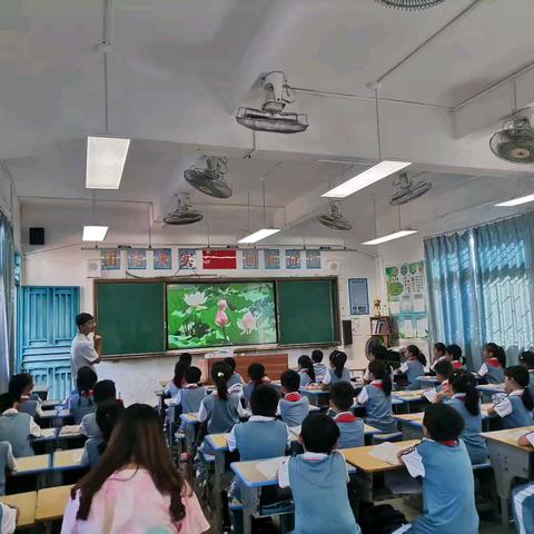 逸夫小学第五周语文公开课