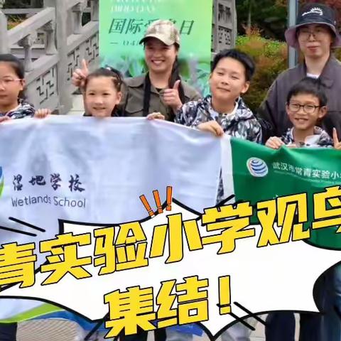 2024年湖北省中小学生爱鸟周 观鸟活动花絮