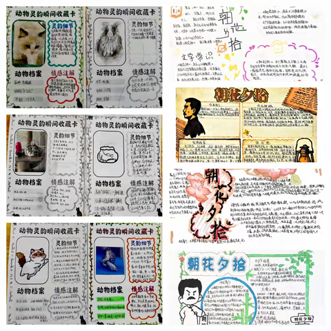 书香润心启智 社团聚力绘美——皇冠中学（北校区）校园文化岁末篇