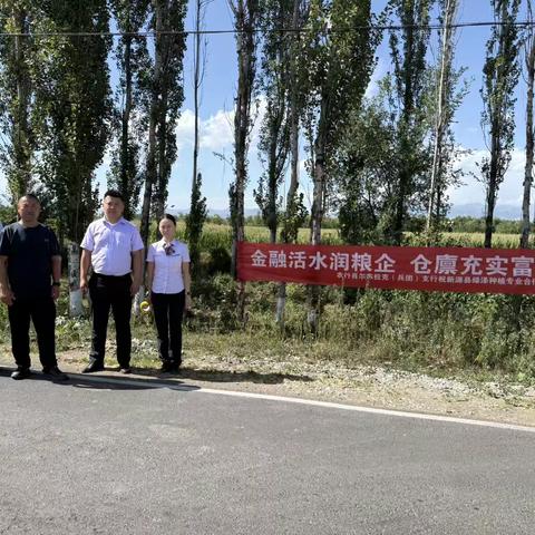 农行肖尔布拉克支行助力夏粮兑现