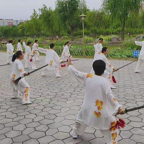 清荷竹韵伴太极《三》