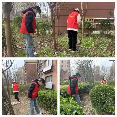 中鹤社区开展禁种铲毒排查宣传活动