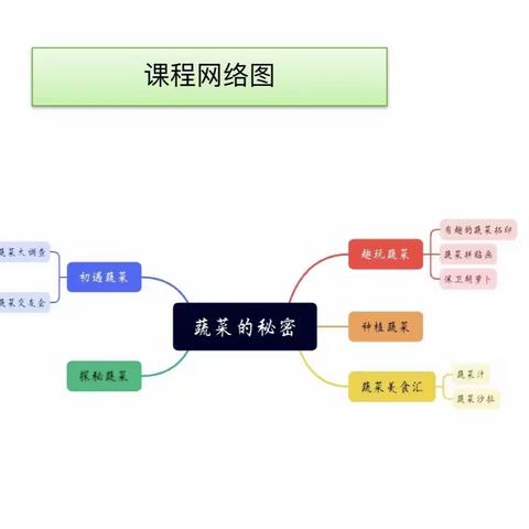 蔬菜的秘密——中三班班本课程