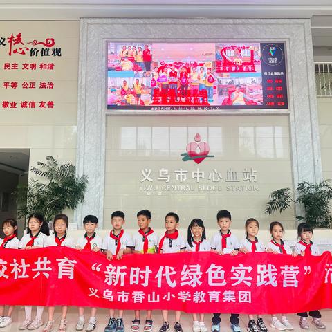 探索血液奥秘，争做生命守护小先锋 ‍—— 杨村小学201班“新时代绿色实践营”活动