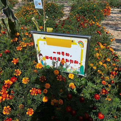 农耕体验润童心，劳动实践促成长——记猪咀岭小学赴定远学区劳动实践基地活动