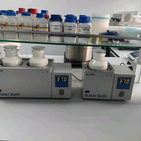 探索发酵魔法—酸奶的制作