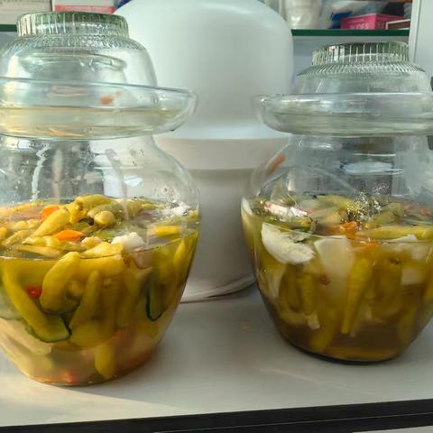 “舌尖上的生物”综合实践活动