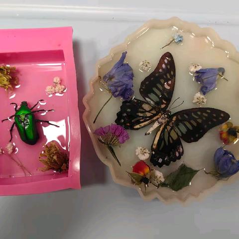 指尖上的生物——人工琥珀标本的制作（下）