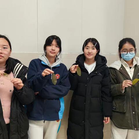 指尖上的生物——叶脉书签的制作（上）