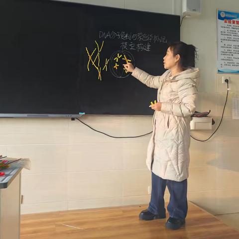 DNA分子复制与染色体标记问题模型构建